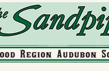 Audubon Sandpiper header graphic