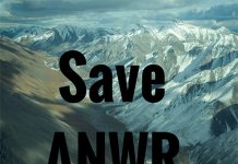 Save the Arctic National Wildlife Refuge graphic