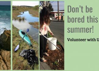 Volunteer with the NEC this summer