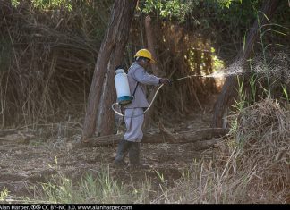 Workers spraying herbicide in a nature reservePhoto: Alan Harper, Flickr CC
