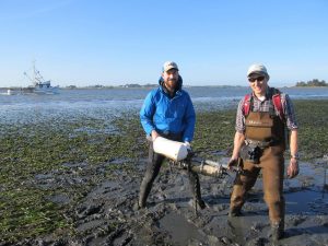 Joe Tyburczy of California Sea Grant Extension and HSU graduate student Eric LeBlanc recently deployed instruments during very low tides to measure pH levels and other environmental conditions in and near eelgrass beds in Humboldt Bay. Credit Brian Carter