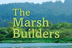 Cover of The Marsh Builders: The Fight for Clean Water, Wetlands, and Wildlife by Sharon Levy.