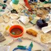 Examples of plastic marine debris. Photo: NOAA Marine Debris Program, Flickr CC.