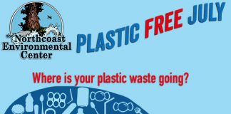 Plastic Free July flyer.