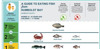 California Office of Environmental Health Hazard Assessment's fish advisory guide for Humboldt Bay.