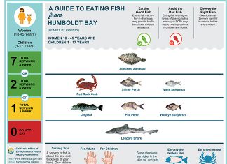 California Office of Environmental Health Hazard Assessment's fish advisory guide for Humboldt Bay.