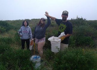Jeff, Kaylee and Emily Cook have fun cleaning up Samoa Beach during a Plastic Free July cleanup with the NEC. Photo: Sarai Lucarelli.