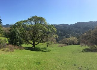 The Hunter Ranch easement in eastern Humboldt County. Below: Photo: courtesy of NRLT.
