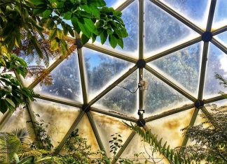 Interior view of the greenhouse dome on the HSU campus. Photo from the Greenhouse Club's Instagram page @hsugreenhouseclub.