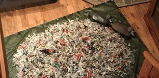 This pile shows 3800 wads and shells (the ratio between the two is about 9:1) and about 1000-1200 caps (totalling about 5000 pieces of plastic). Beer bottle shown for scale. Photo: Martin Swett.
