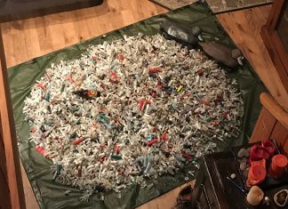 This pile shows 3800 wads and shells (the ratio between the two is about 9:1) and about 1000-1200 caps (totalling about 5000 pieces of plastic). Beer bottle shown for scale. Photo: Martin Swett.