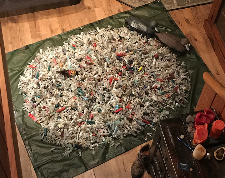 This pile shows 3800 wads and shells (the ratio between the two is about 9:1) and about 1000-1200 caps (totalling about 5000 pieces of plastic). Beer bottle shown for scale. Photo: Martin Swett. 