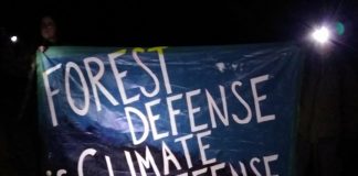 A banner reading Forest Defense is Climate Defense. Photo from Save the Mattole's Ancient Forest Facebook page.