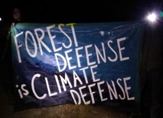 A banner reading Forest Defense is Climate Defense. Photo from Save the Mattole's Ancient Forest Facebook page.
